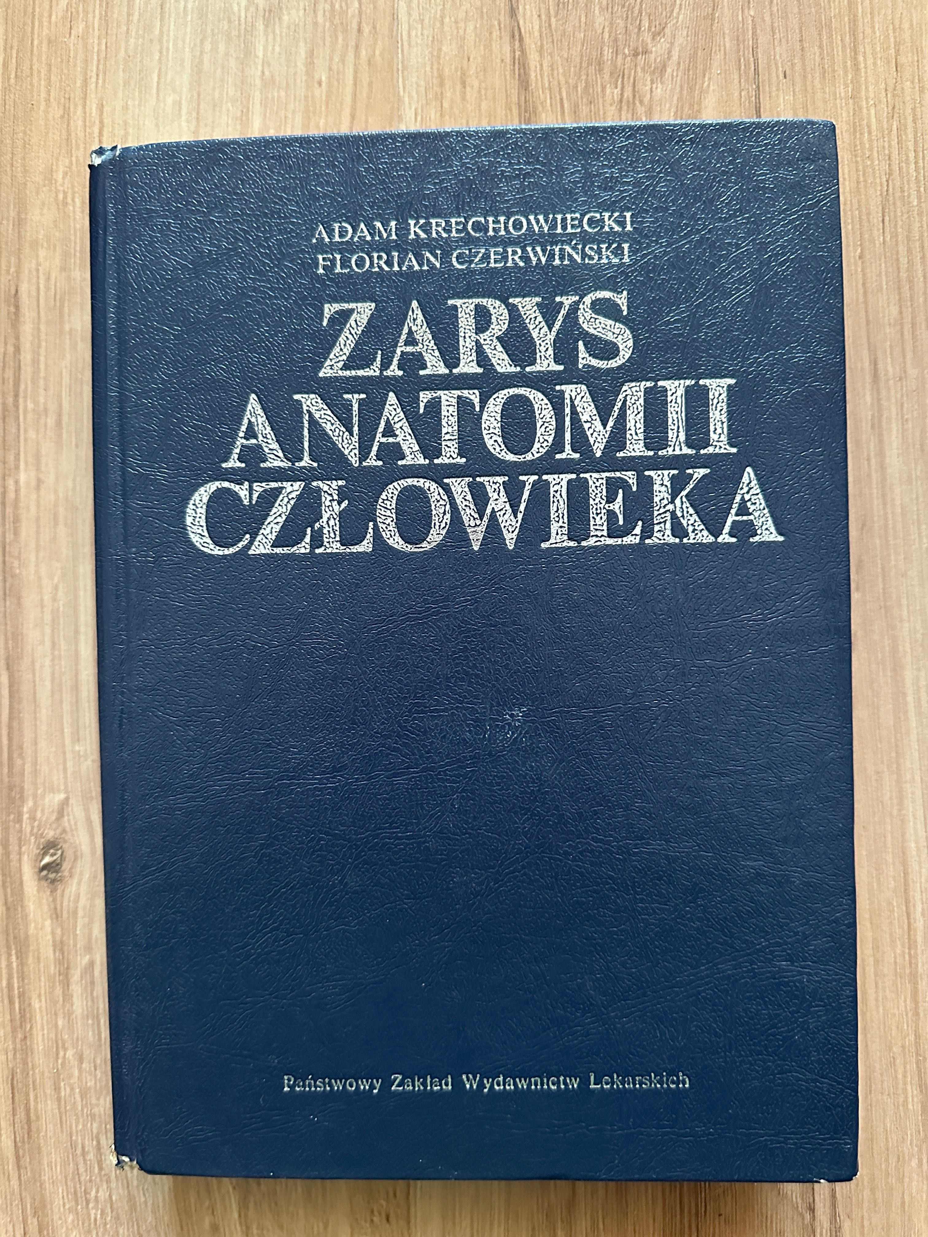 Zarys anatomii człowieka