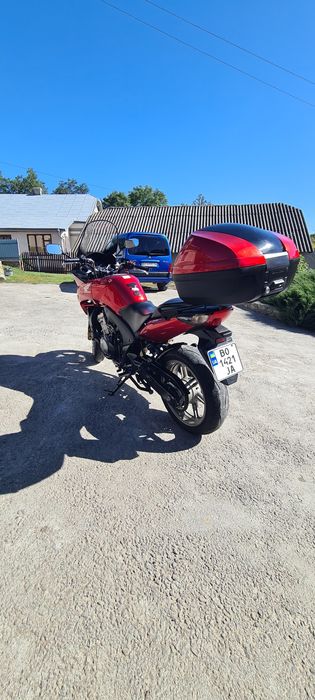Honda cbf 600 2008 рік