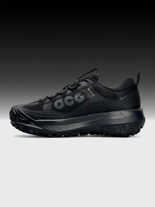 Зимові кросівки Nike ACG Mountain Fly Gore tex термо / осінь-зима