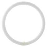 Lâmpada Fluorescente T9 - LUXRAM (G10Q; 300 mm; 32 W; 6400 K)