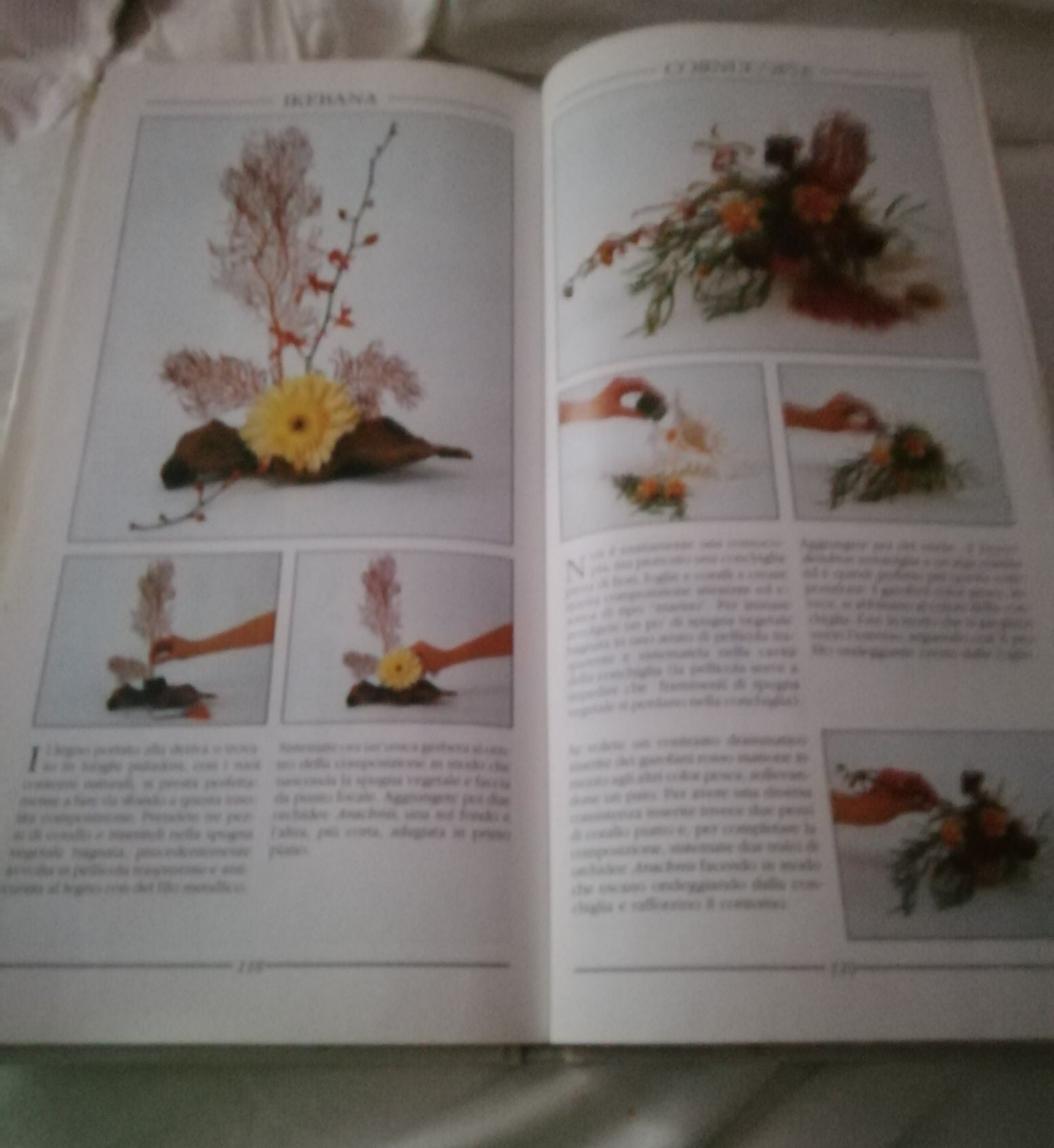 Livro "Fiori e fantasia"