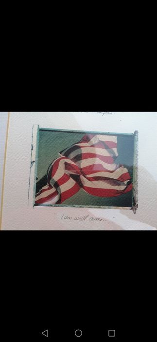 Quadro Star and Stripes / serigrafia