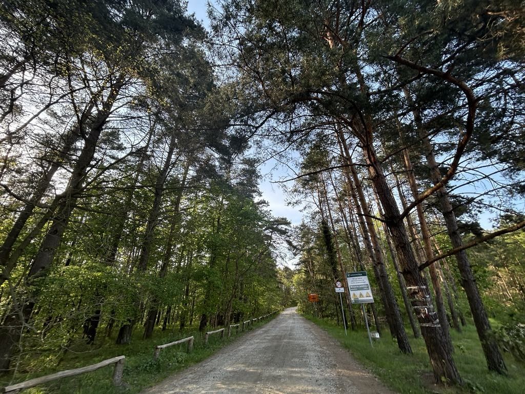 Domki letniskowe na skraju lasu