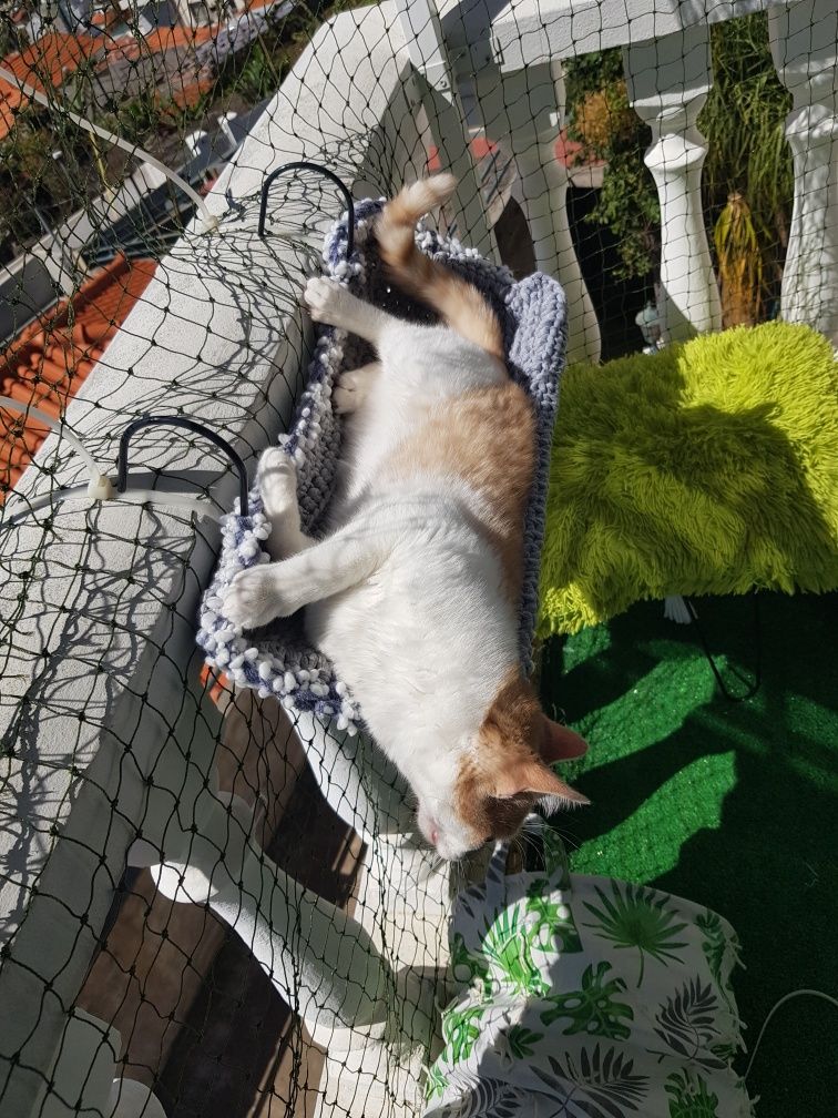 Cama de varanda para gatos