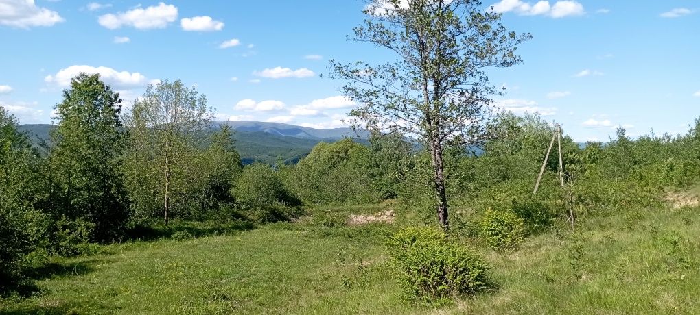 Продаємо ділянку у горах Карпат у поточка