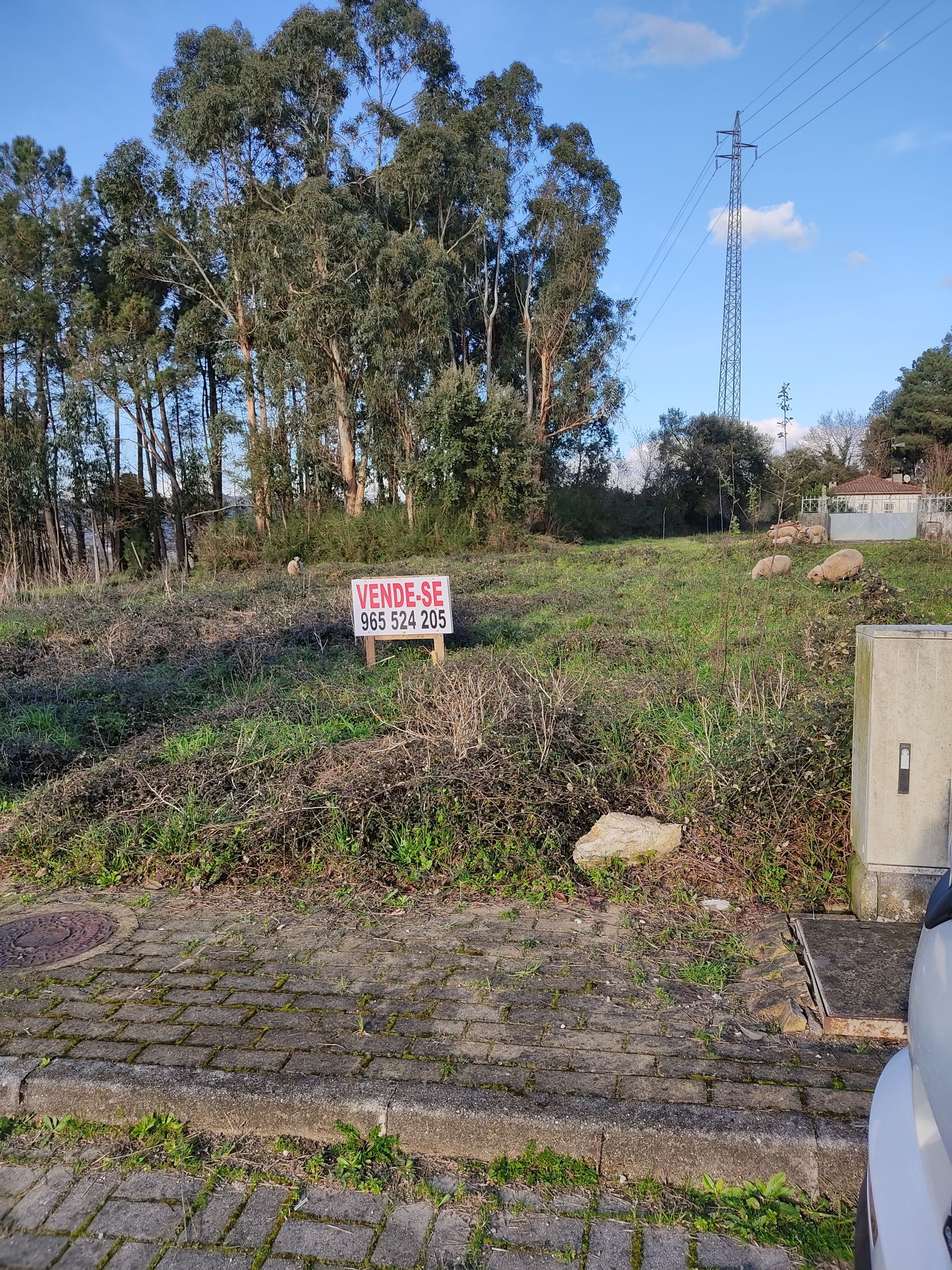 Terreno construção 2 lotes