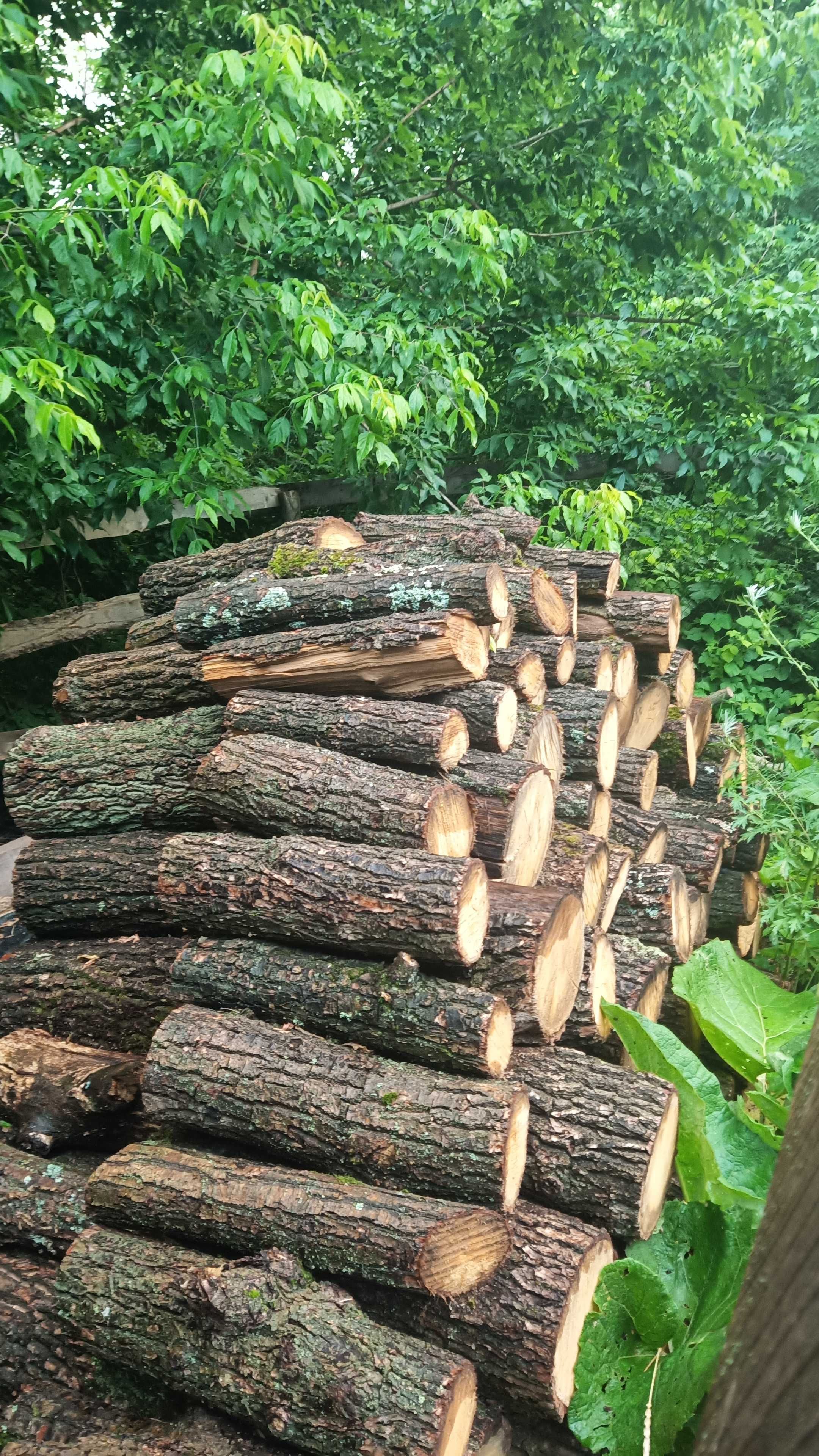 Продам дрова для населения и для организаций