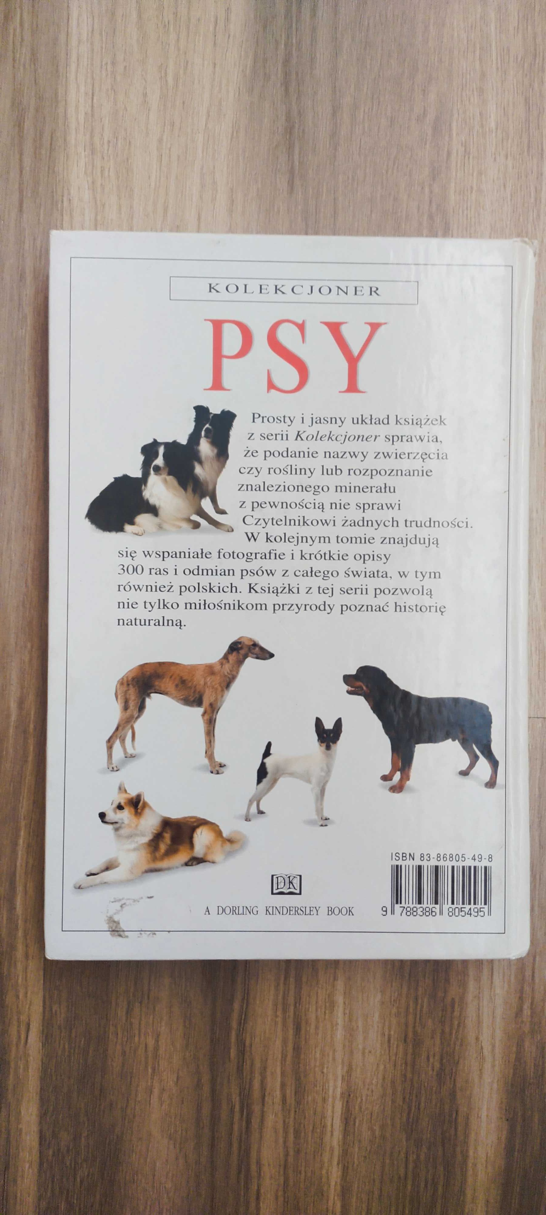Psy - David Alderton
