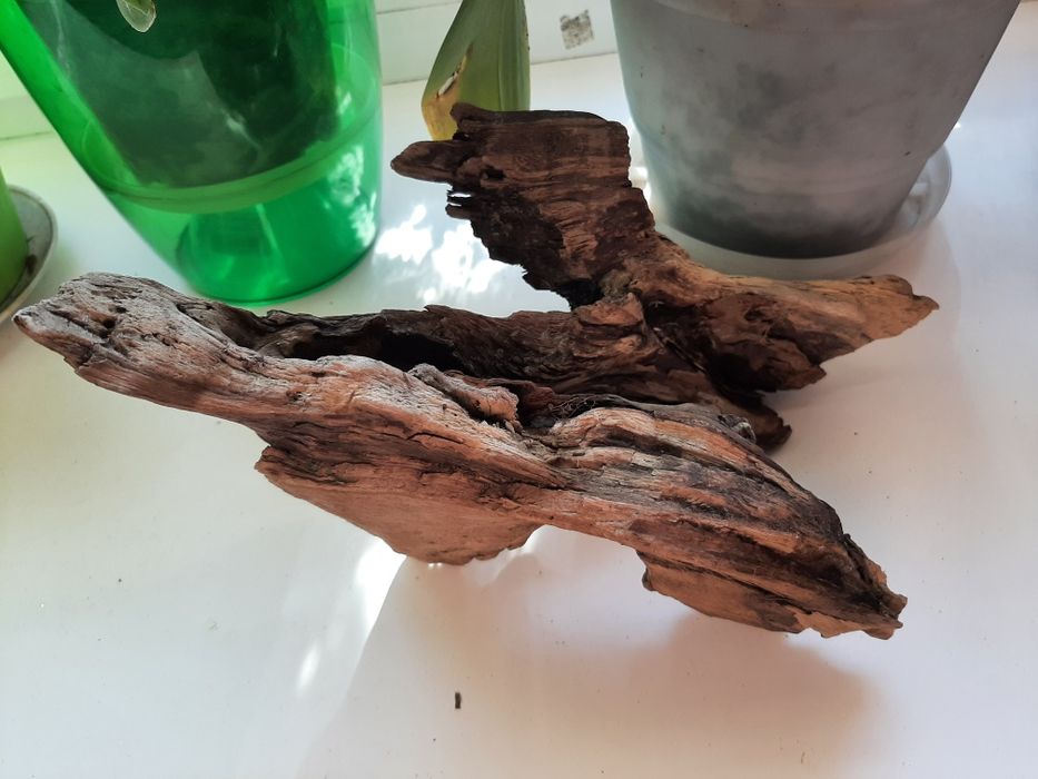 Продам коряжку в аквариум