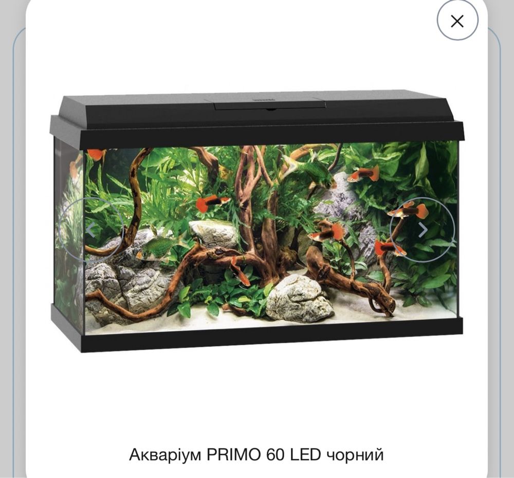 Акваріум Juwel прямий Primo 60 LED чорний, 61х37х31 см, 57 л