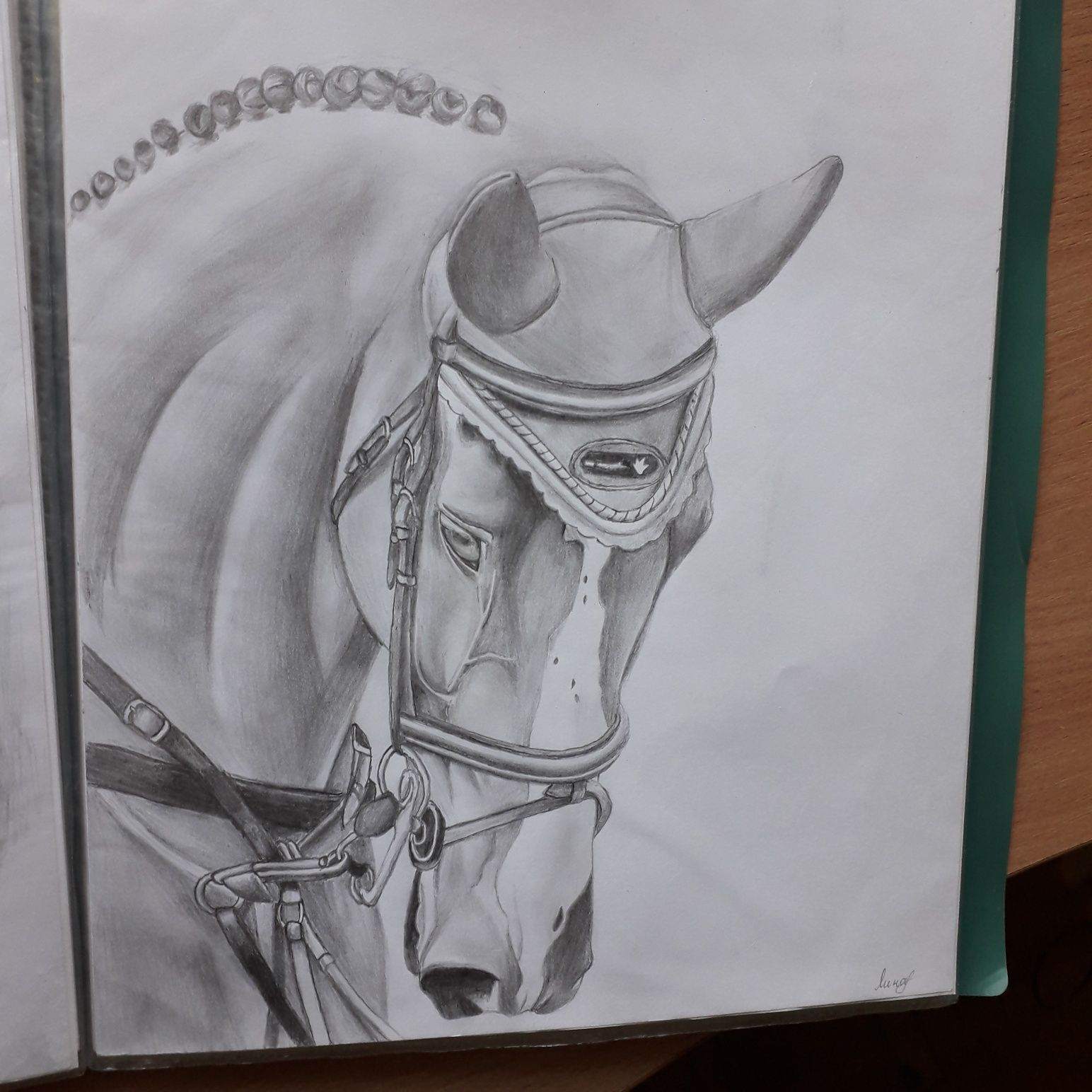 Лошадь. Рисунок карандашом.
