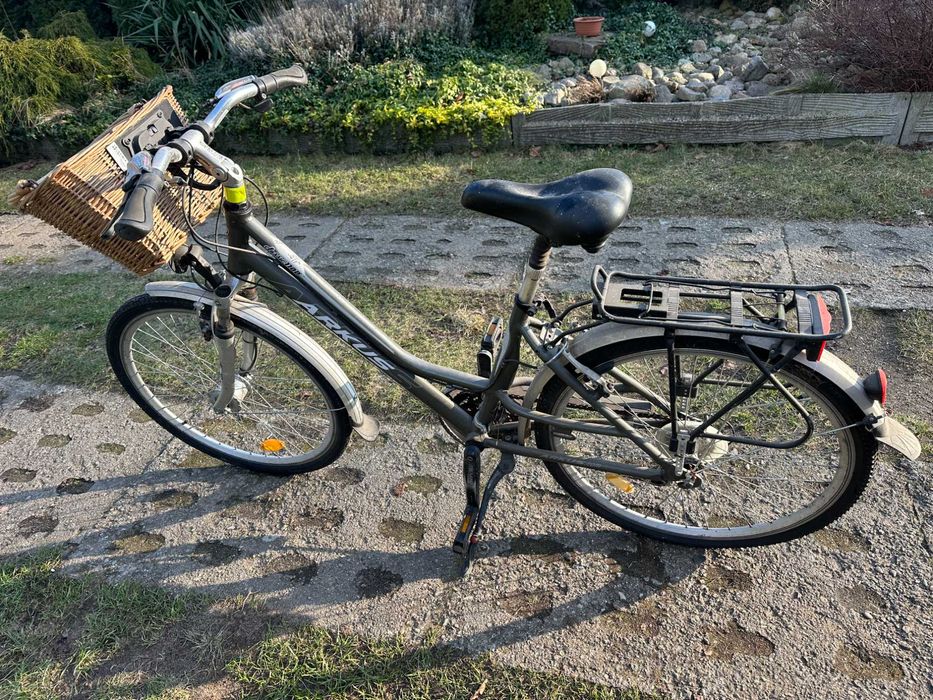 Rower ARKUS classic 1100