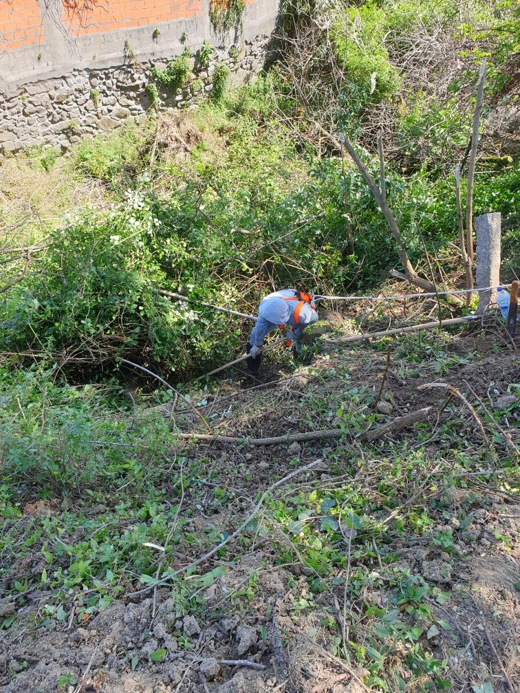 Limpeza terrenos, matas, jardins, corte, abate e  poda de árvores.