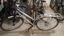 Rower damski kellys cristy 50