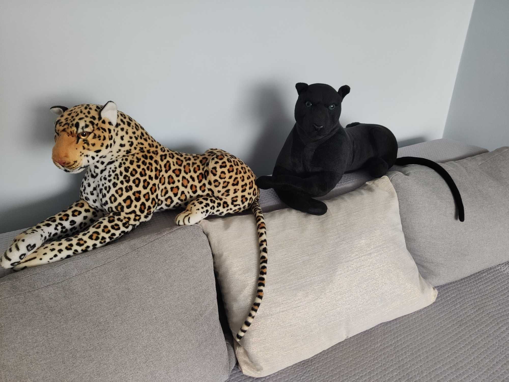 Pluszaki, gepard i puma.