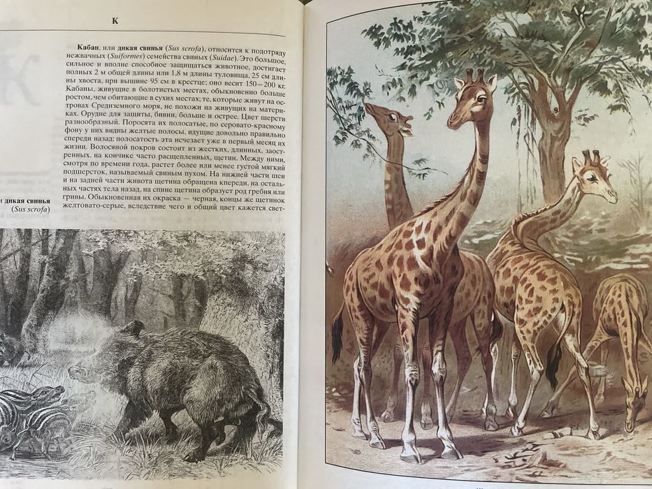 Жизнь животных. Життя тварин. Альфред Брем