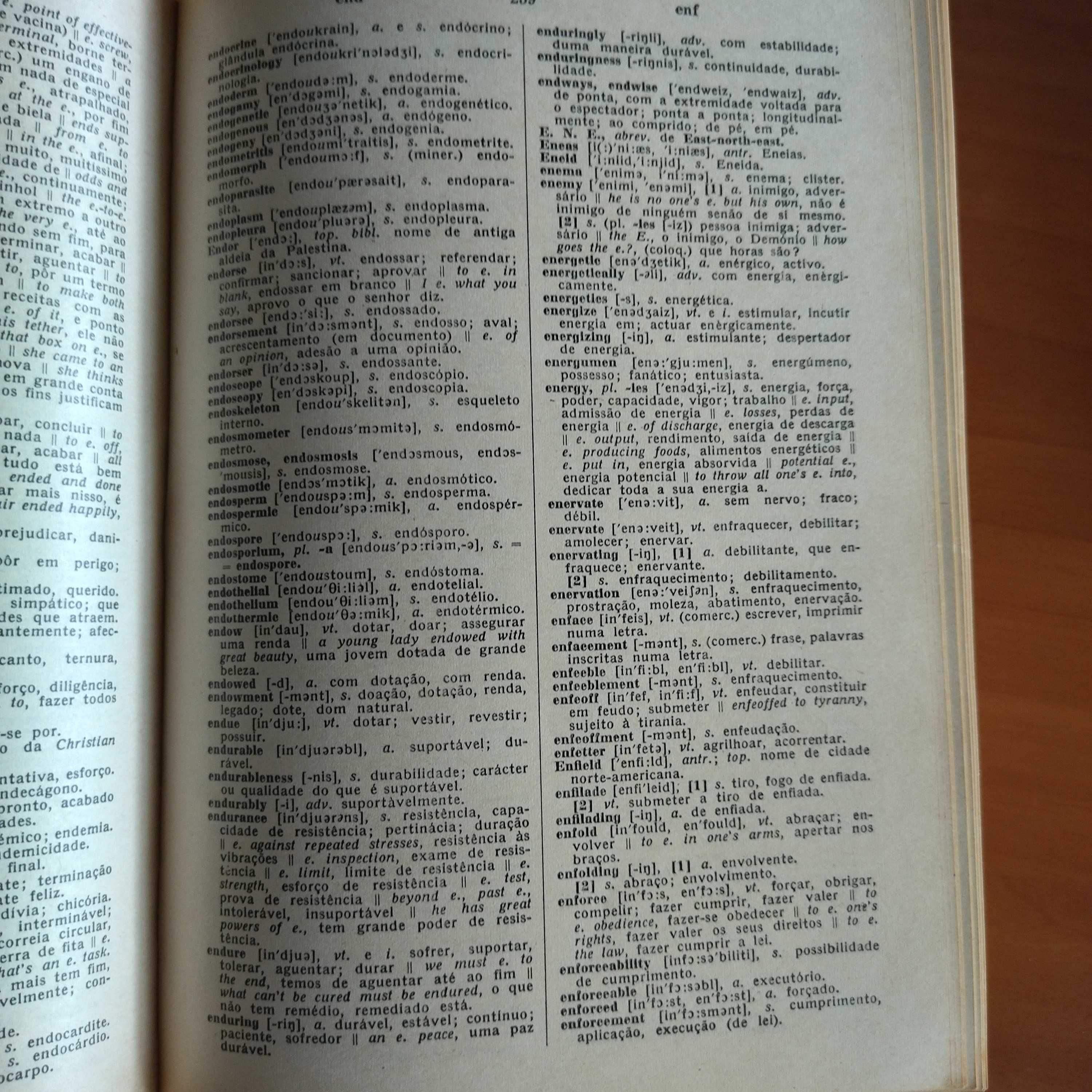 Dicionário Inglês / Português Retro