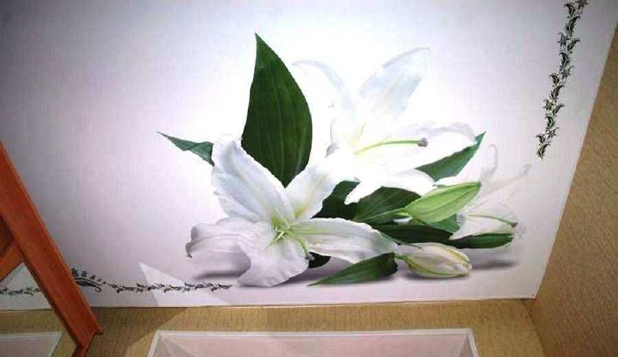 Натяжні Стелі (Натяжные Потолки)