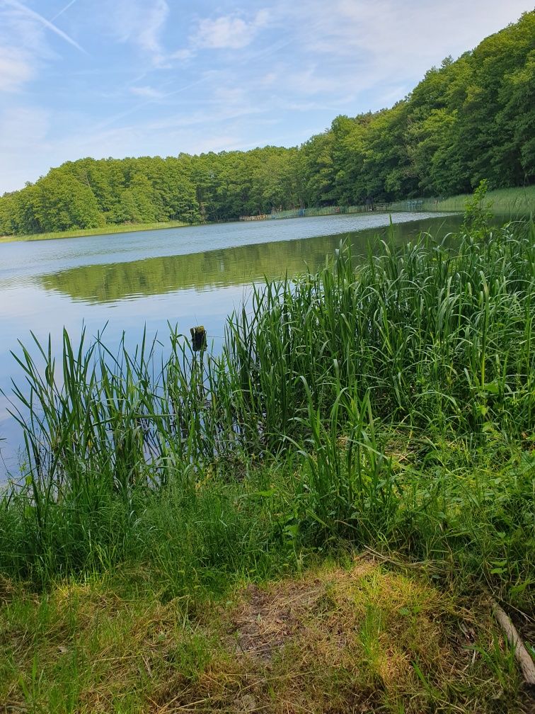 Domek Letniskowy nad Jeziorem Mierzyn (udog.dla os.niepełnospr.) 60m2