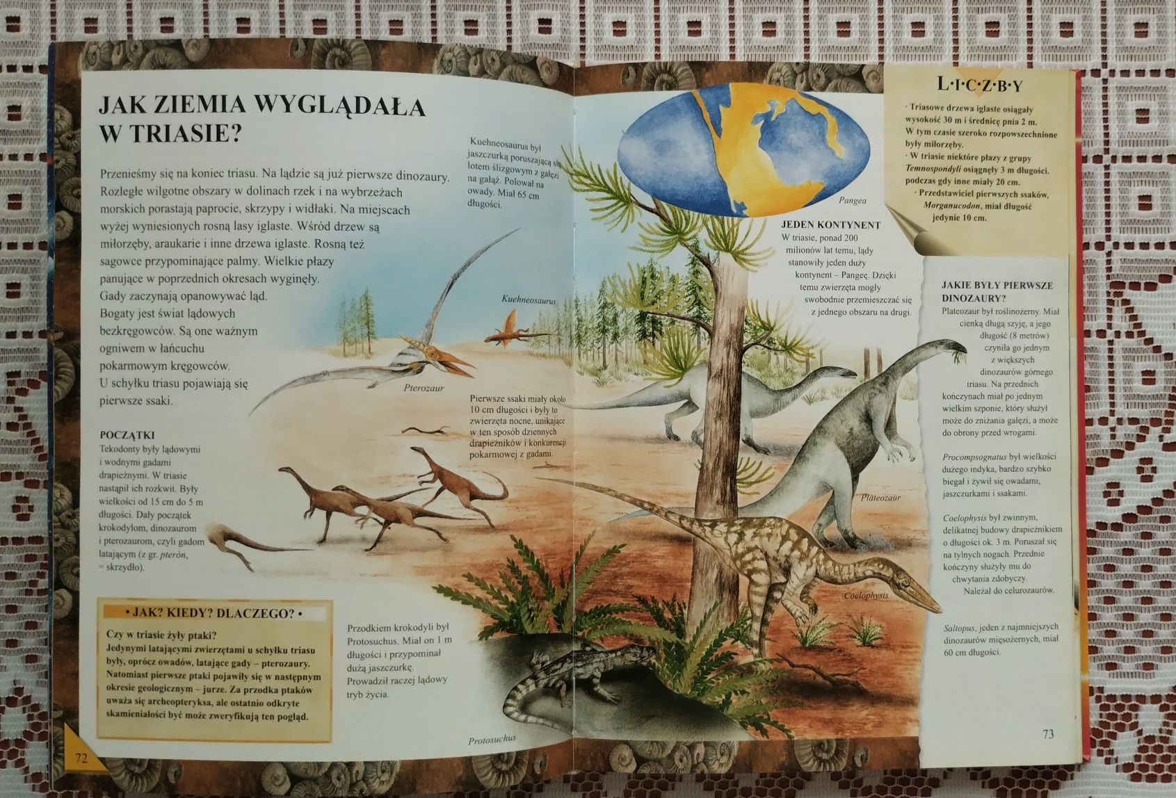 Książka Dlaczego. Encyklopedia pytań i odpowiedzi.
