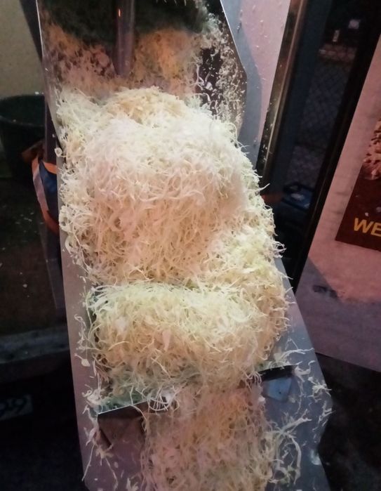 Kapusta krojona / w główkach