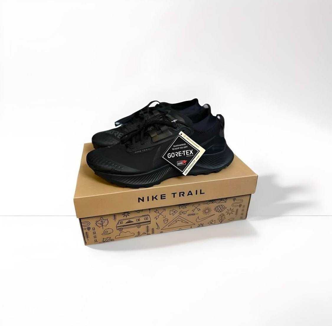 Nike Pegasus Trail Gore-tex