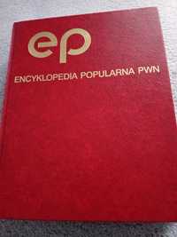 Sprzedam używaną Ecyklopedie  Popularną PWN