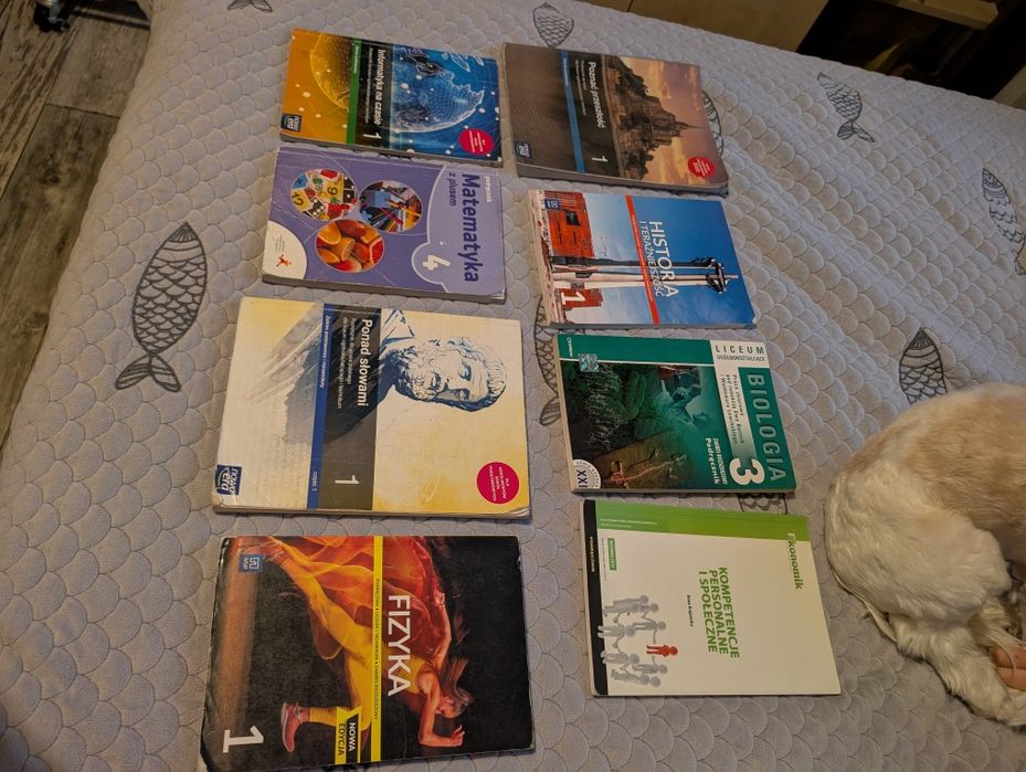 Podręczniki. Informatyka, matematyka, ponad słowami, fizyka, biologia