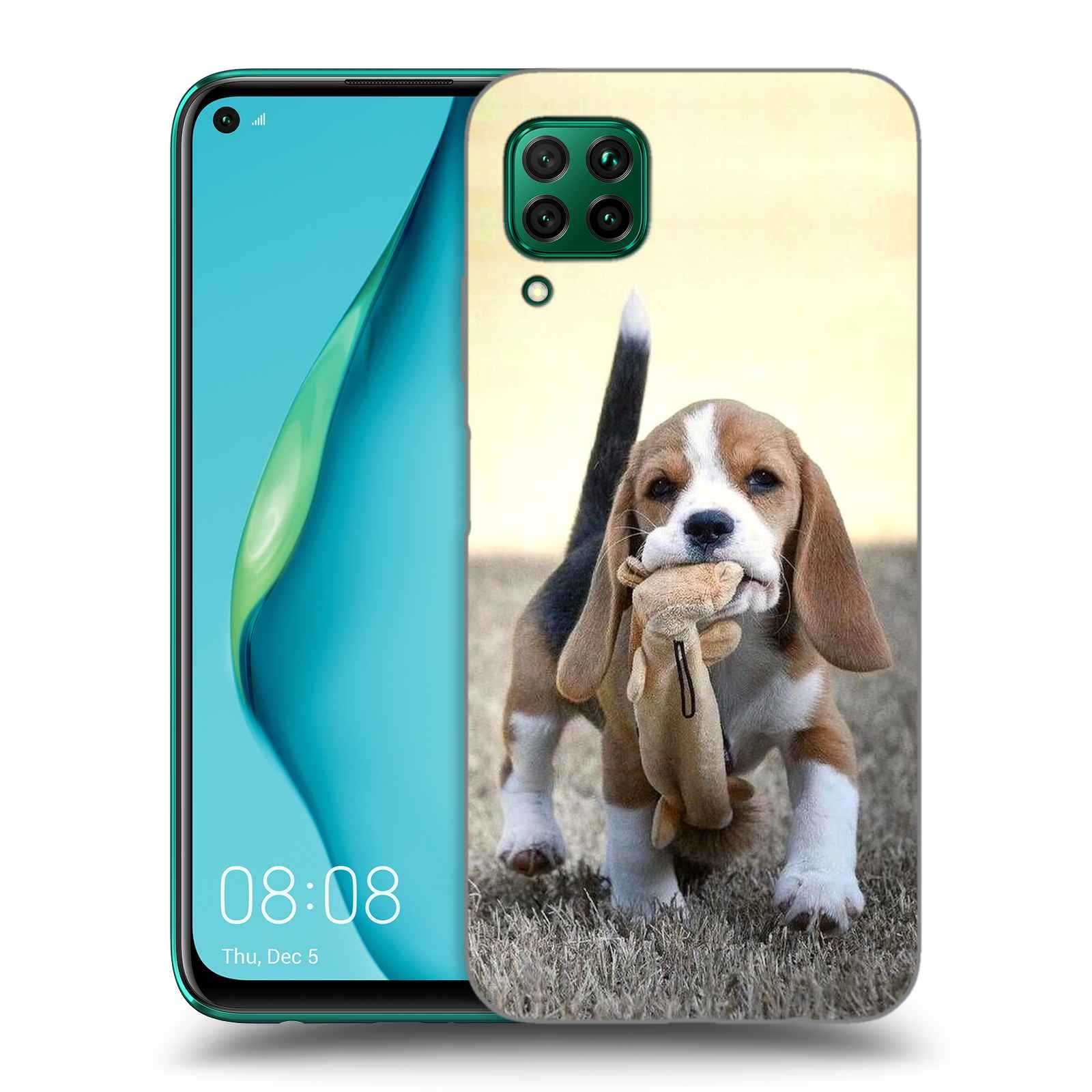 Etui z twoim pupilem Beagle