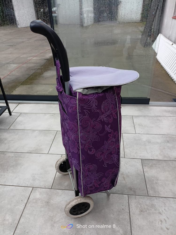 Podpórka inwalidzka/krzesło toaletowe/wózek na zakupy