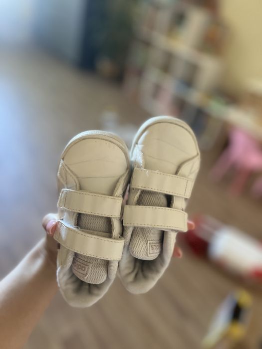 Кросівки adidas 24