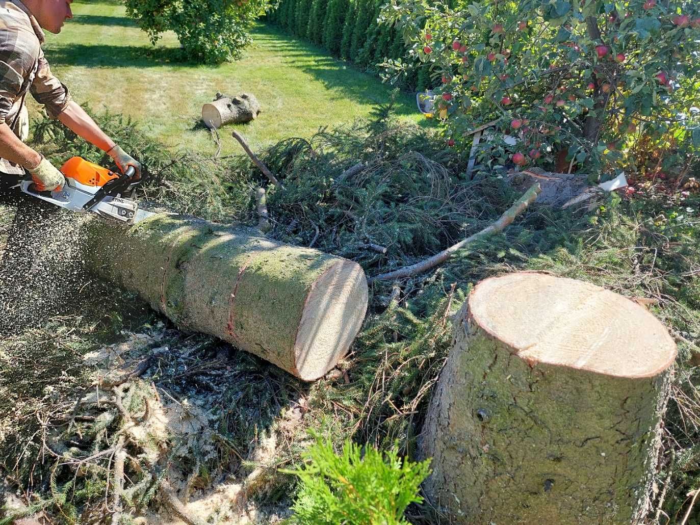 Ruthmann 22m, podnośnik 22m. Wycinka drzew.//zielonausługa.pl//