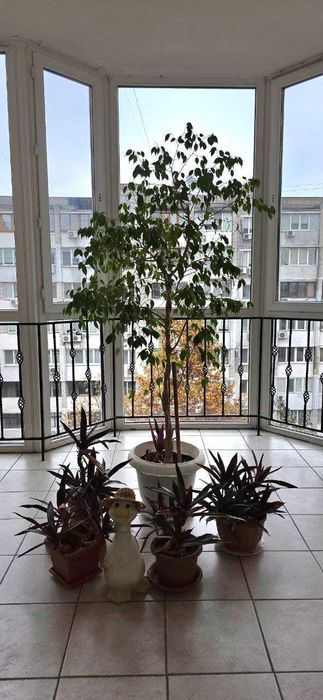 Квартира з ремонтом парк Перемоги/ Говорова. Газовий будинок