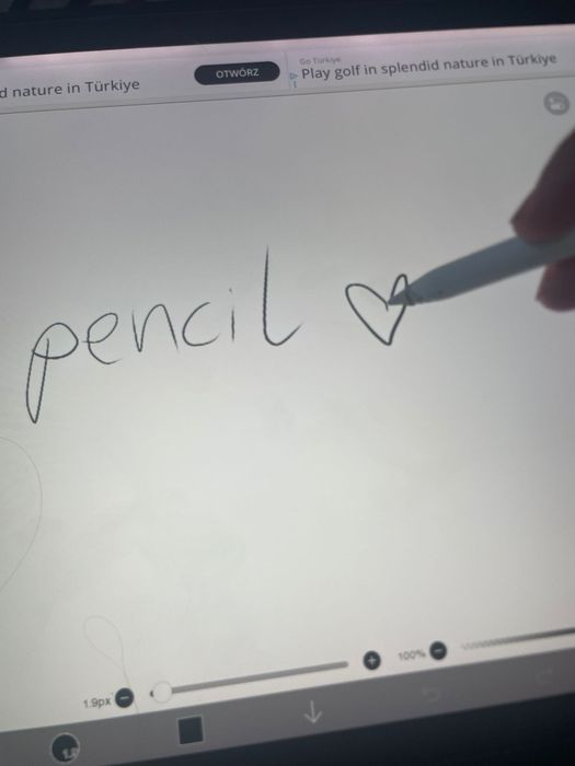 Oryginalny rysik Apple Pencil (1. generacji) do iPad Pro / iPad Air