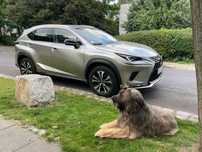Lexus NX Lexus NX SUV klasy premium. Okazja, jakiej nie znajdziesz drugi raz!