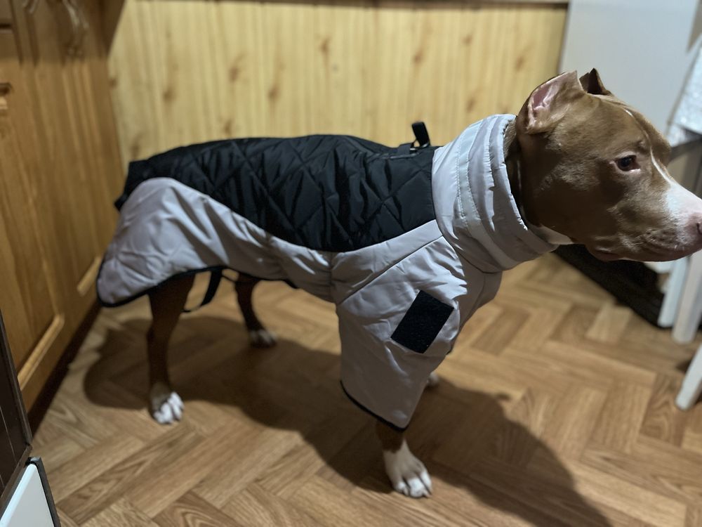 курточка для собаки