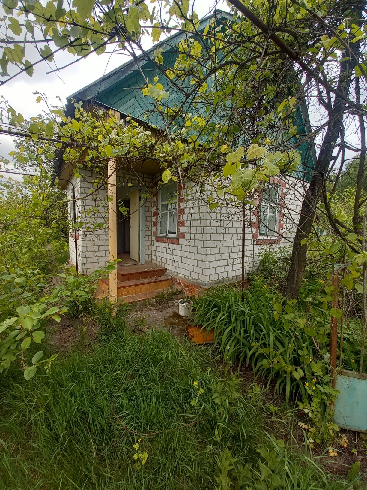 Продам дачу в Березанці