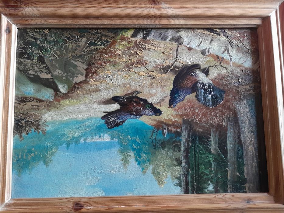 Myślistwo, tok cietrzewi.