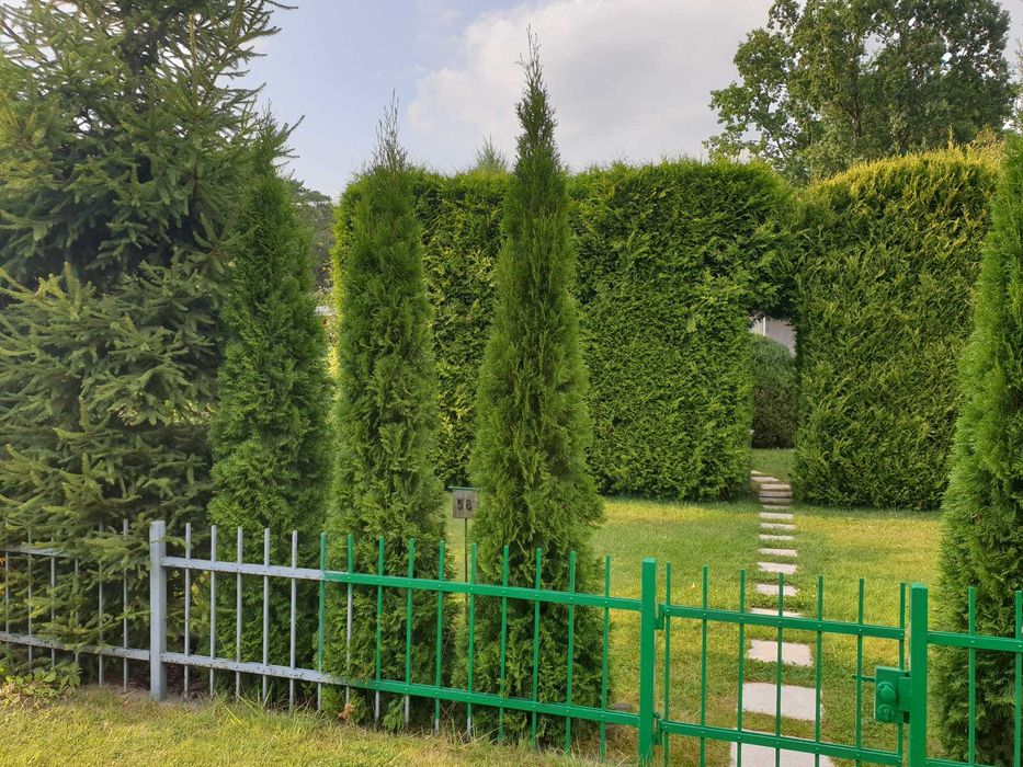 ROD  Myślęcinek obok Zoo, domek z łazienką