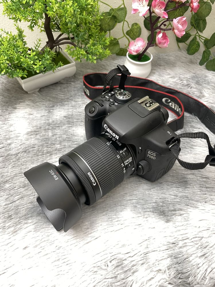 Canon Eos 750D WiFi com 18-55mm ebolsa