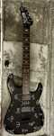 Guitarra ESP LTD Demonology Kirk Hammet com estojo