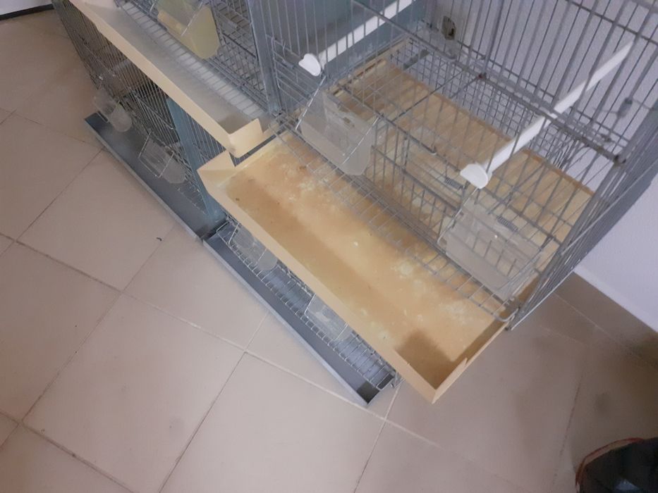 Viveiros para aves em bom estado (1.20m/0.77m)