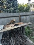 Циркулярка