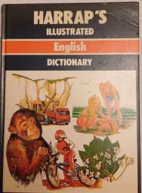 Angielski na obrazkach - Illustrated English Dictionary -dla dzieci