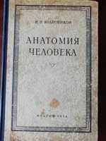 Анатомия человека 1954 год  Н. В. Колесников