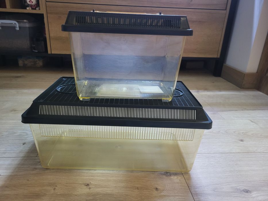 Terraria pudełka hodowlane exoterra