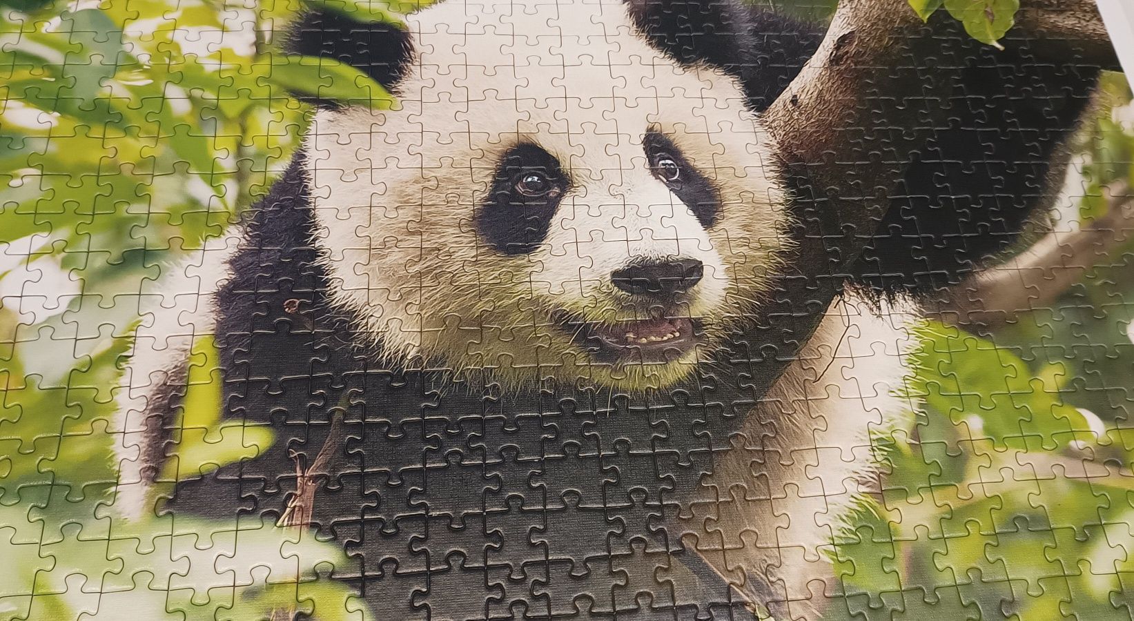 Puzzle panda 500 elementów trefl kompletne miś obraz