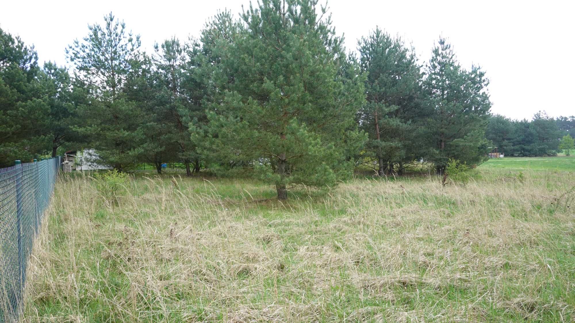 Wylatkowo działka