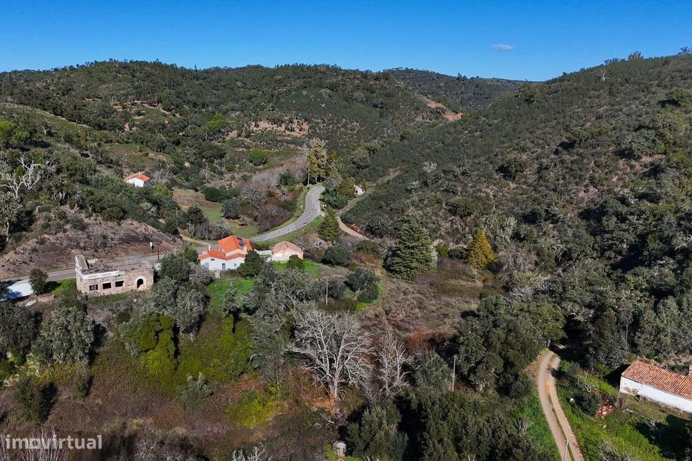 Oportunidade Única: 7 hectares com moradia T2 renovada | São Martinho