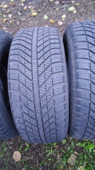205/55R16 Goodyear зима